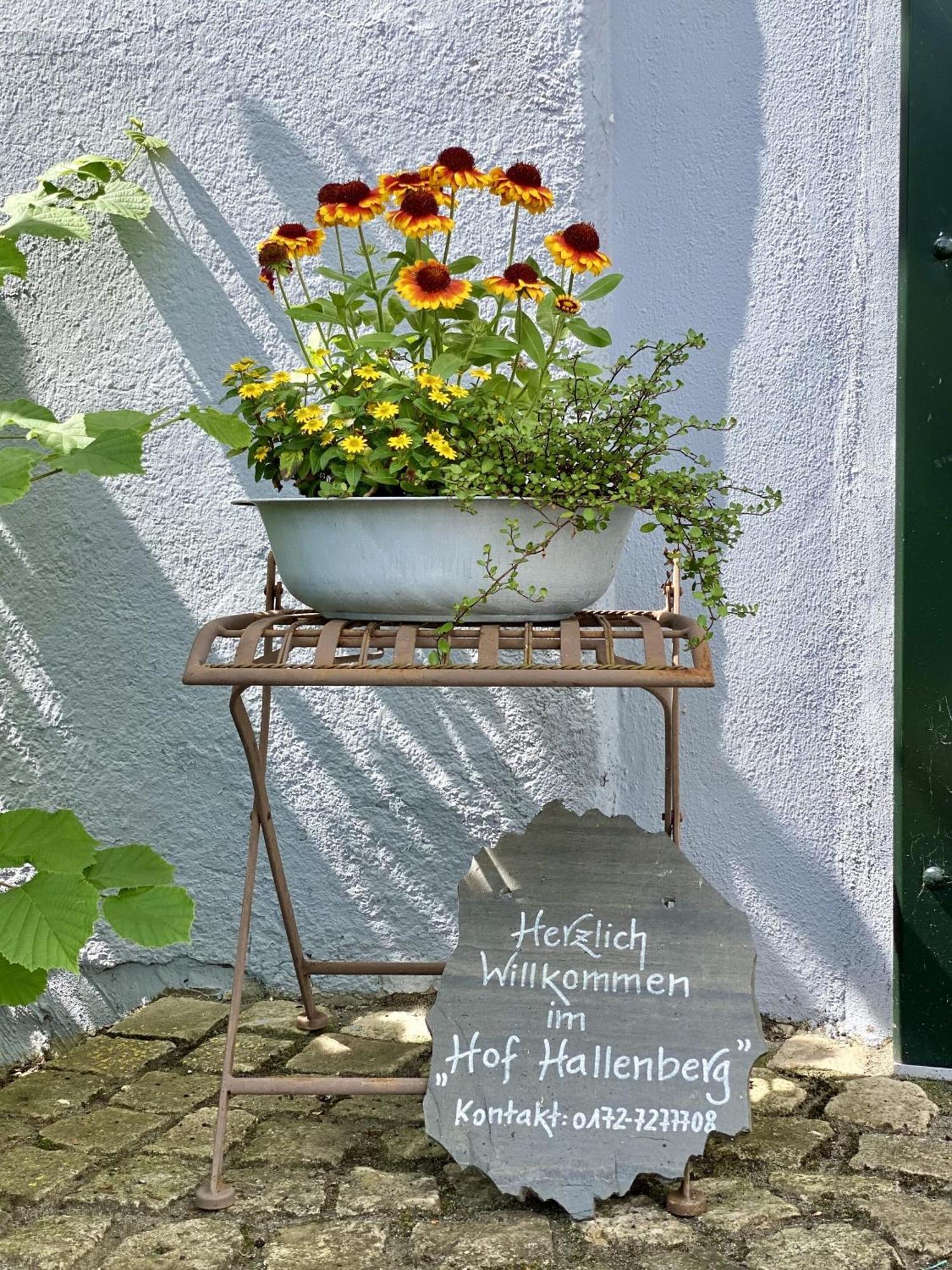 Hof Hallenberg Bagian luar foto