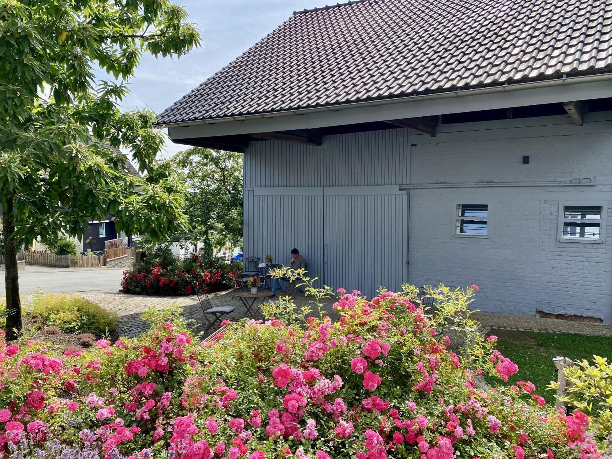 Hof Hallenberg Bagian luar foto